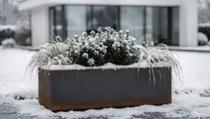 Donica metalowa z roślinami zimozielonymi w ośnieżonym ogrodzie zimą