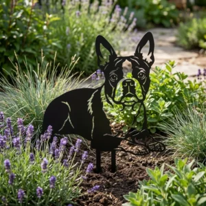 Boston Terrier – Dekoracja Ogrodowa Metalowa w rabacie z lawendą