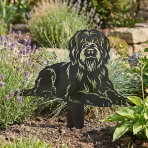 Owczarek francuski Briard – Dekoracja Ogrodowa Metalowa w rabacie z lawendą