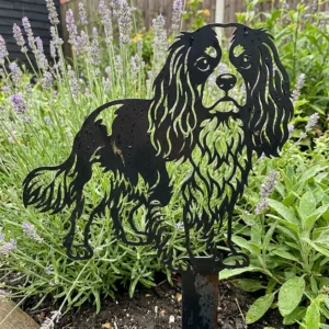 Spaniel king cawalier – Dekoracja Ogrodowa Metalowa w rabacie z lawendą