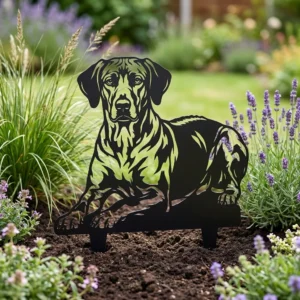 Rhodesian Ridgeback – Dekoracja Ogrodowa Metalowa w rabacie ogrodowej